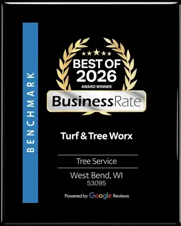 Best of 2026 award winner plaque, BusinessRate, Tree Service, West Bend WI