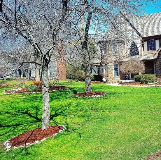 Landscaping and patios work by Turf & Tree Worx