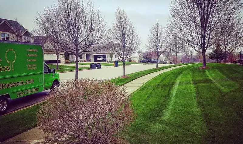Lawn work by Turf & Tree Worx